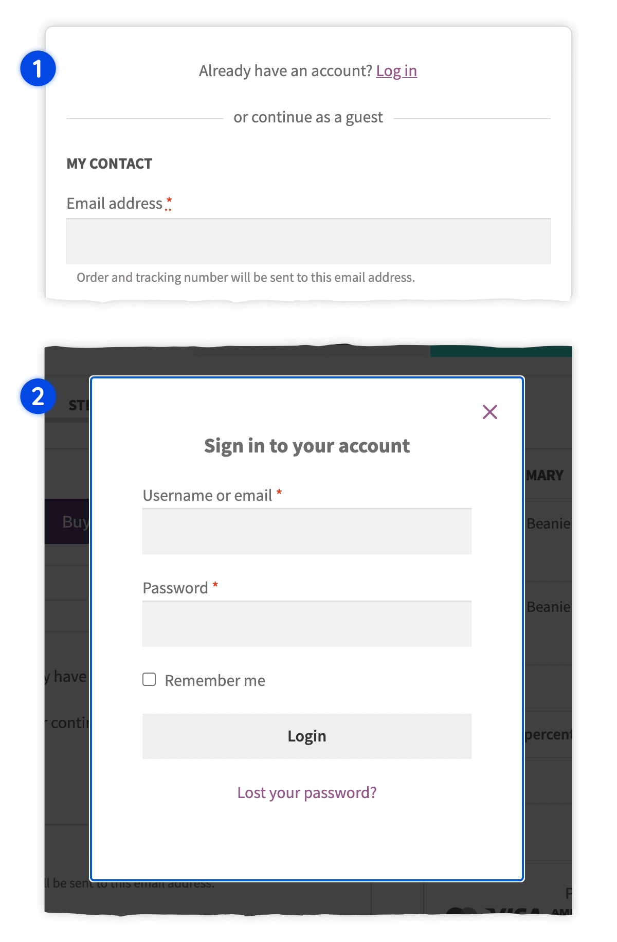 Log-in form on the checkout page