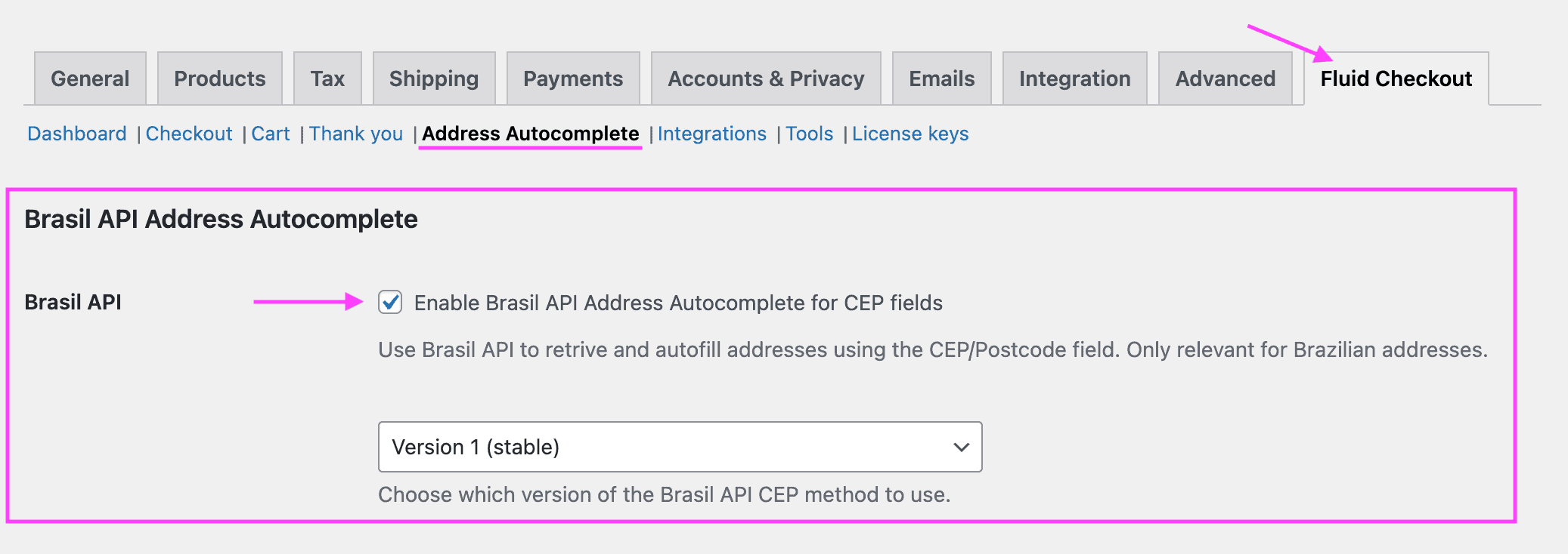 Screenshot of the plugin settings for using the Brasil API for CEP fields.