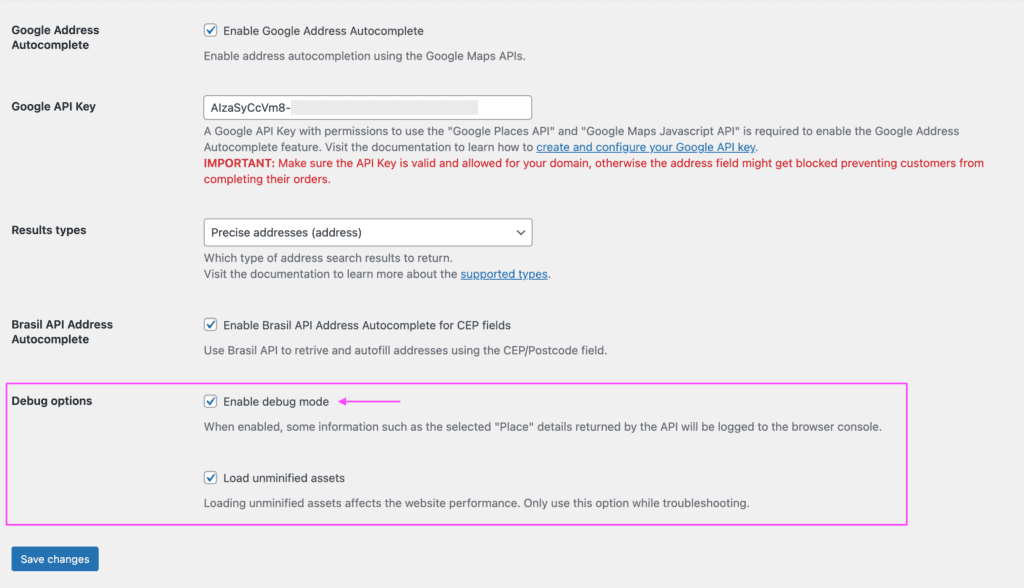 Google Address Plugin settings page showing instructions to enable the debug mode.