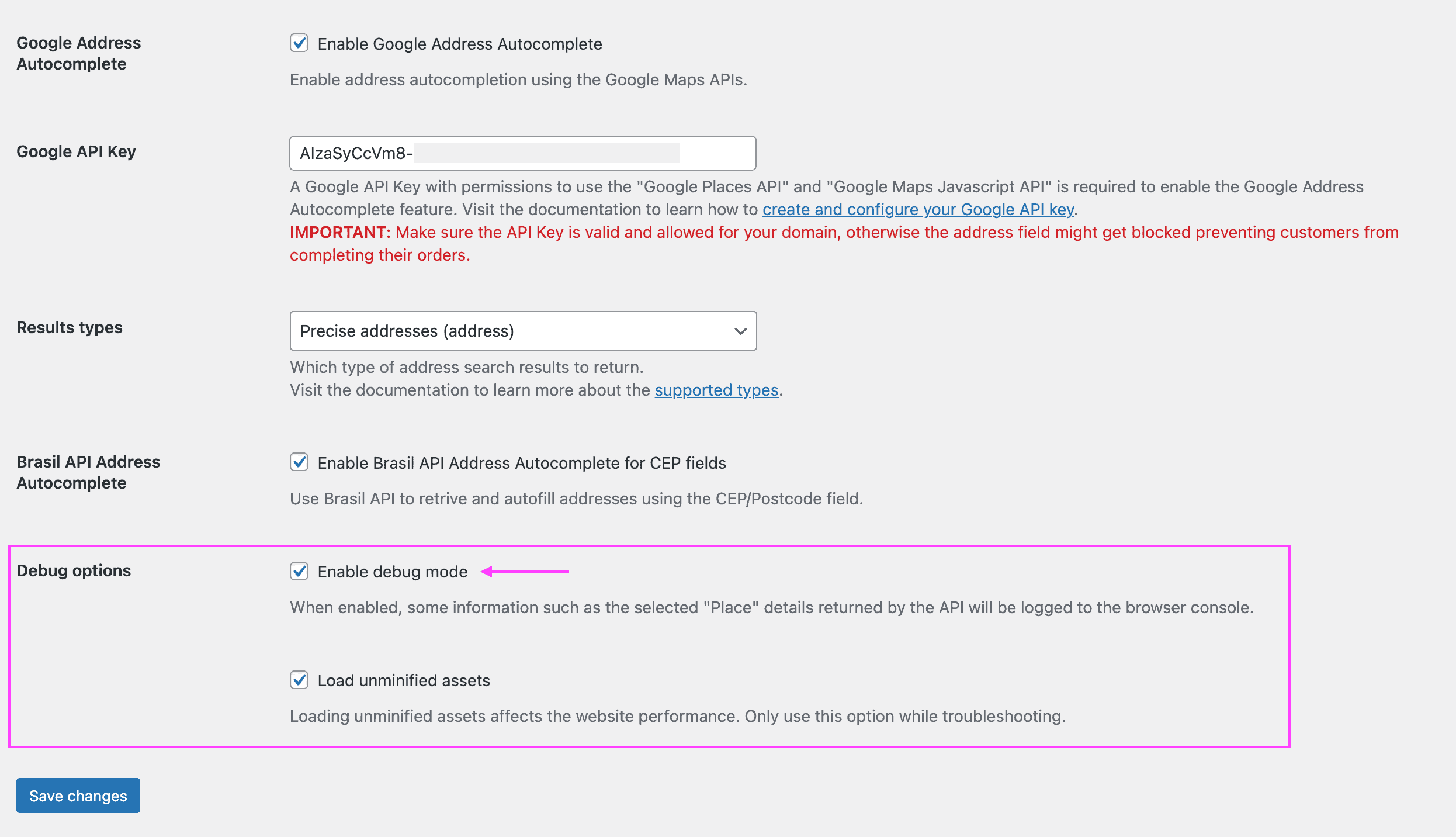 Google Address Plugin settings page showing instructions to enable the debug mode.