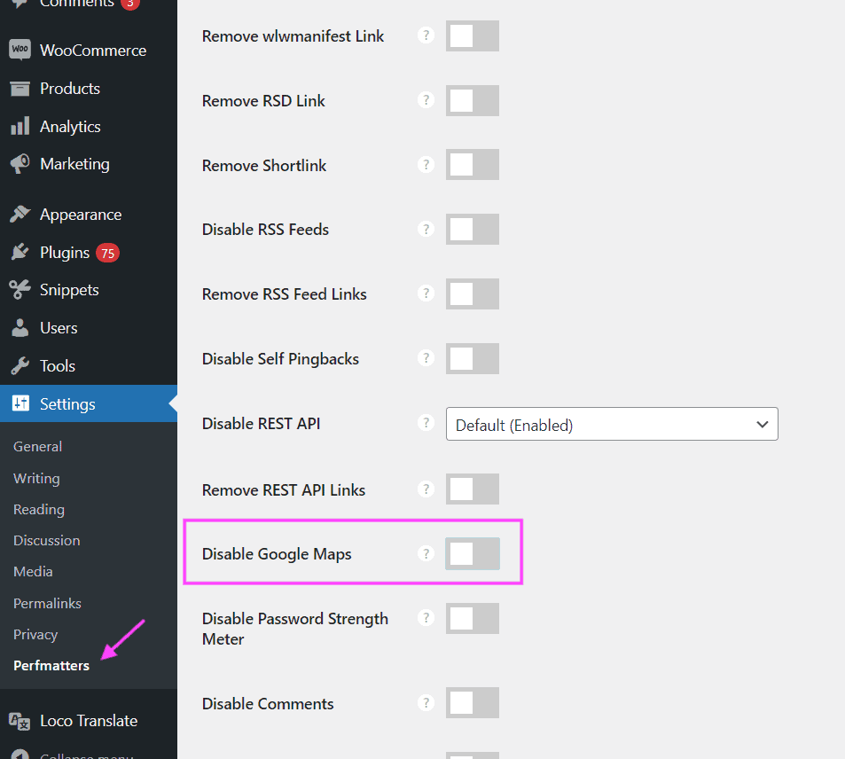 Perfmatters settings showing option to disable loading Goggle Maps scripts.